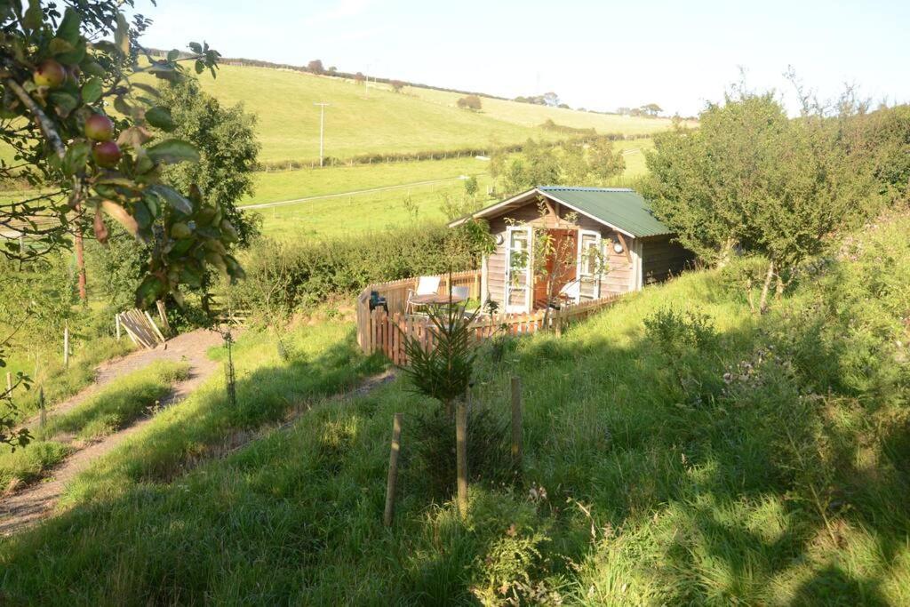 Woolcombe Cabin East Allington Exteriér fotografie